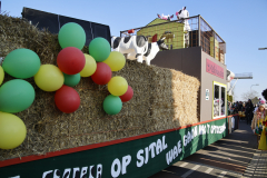 Optocht_2025-30