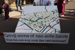 Optocht_2025-57